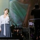 모스트기획