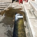 하예동-13 | 제주 논짓물 수영장 담수욕장 이용후기 주차정보