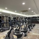 브로인제이 이미지