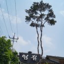 엄집
