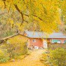 도리경로당 이미지