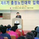 충정