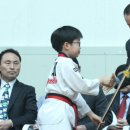 한양대 탑 태권도 이미지