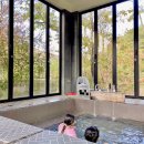 쿡앤스테이 이미지