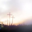 댕댕아띠 이미지