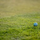 Top 스크린골프존 이미지