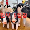 진부 전통시장 화장실 이미지