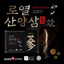 상아기획