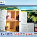 파프리카안경 이미지