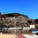 매화 경로당 이미지