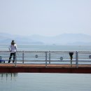 정남진 해양낚시공원 이미지