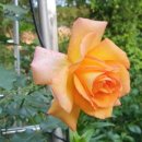 강릉속편한내과의원 이미지