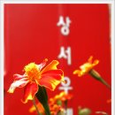 상서우체국 이미지