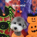 MUNG MOO 이미지