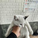 민정배터리 타이어 이미지