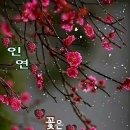 동신대학교목포한방병원 이미지