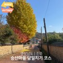지수면-2 | 경남 단풍 명소 진주 지수 승산부자마을 K기업가정신센터 당일치기 코스 추천
