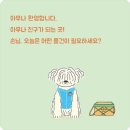 더이어가게