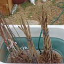 몽실하우스 이미지