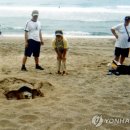 거북호텔 이미지