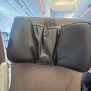 지성항공여행사주 | 스위스항공 취리히 이코노미 직항 후기 예약 및 좌석지성 사전 체크인 기내식 정보