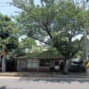 디저트카페서연 이미지