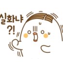 병아리언니오리오빠 네이버블로그
