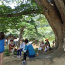 풍기인삼삼계탕 이미지