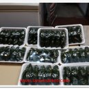 이가네만두 이미지