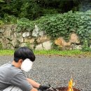 비타민 팜 오토캠핑장 이미지