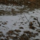 엽차엽차 이미지