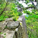 팔공산 하늘정원 이미지