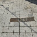 퍼플여행 이미지