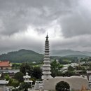 남미륵사 이미지