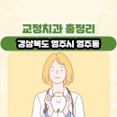 영주예치과의원 | 경상북도 영주시 영주동 교정치과 총정리