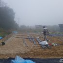 충남 공주군 길이 10m 반반형 비닐하우스 현장 후기