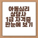 [국비_국민내일배움카드]노인여가활동지도사 양성과정2(1) | 아동심리상담사 1급 자격증 한눈에 보기