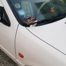 태양게임랜드 이미지