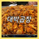 신정동 야채곱창 맛집 대박곱창 본점 푸짐한 양의 가성비 혜자곱창 내돈내산