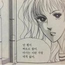 닥터정 동물병원 네이버블로그