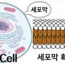 구미퍼스널트레이닝웰라인휘트니스 이미지