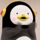 로드컴퍼니 이미지