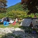 덕동자동차야영장 이미지