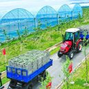 실상농장 이미지