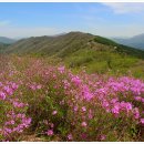 이름은 같지만 산이 다른 동명이산(同名異山)에 대하여:봉화산이 47개로 최다 이미지