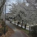 소양강물류마트 | Log 15 :: 비오는 날 뚜벅이 버스 춘천 여행 / 통나무집 닭갈비/ 어스 17/ 감자밭 두바이, 우천시 여행 팁!