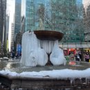 풀랑풀랑 | 2월 1일, 모마(현대미술관), 조스 피자, 뮤지컬 알라딘