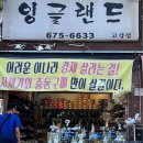 하나엠앤에스(주) | 🇬🇧영국일기 2: 구라같은 일상의 연속 이거맞아요 유오롸잇? (25.10.06~25.10.12)
