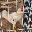 승수농장 이미지