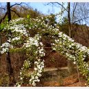 숭덕사(덕성서원) 이미지